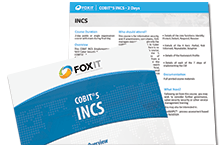 Download the COBIT INCS flier